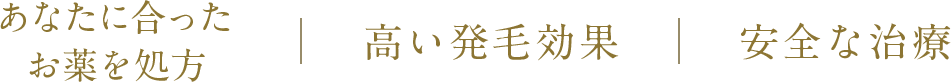 あなたに合ったお薬を処方 高い発毛効果 安全な治療
